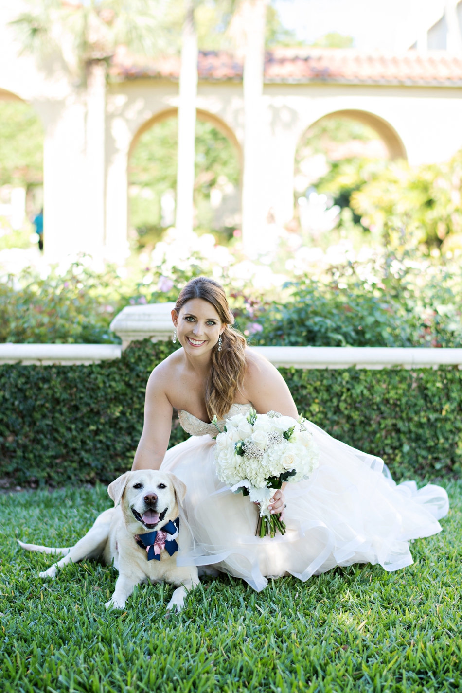 I love dogs and weddings 