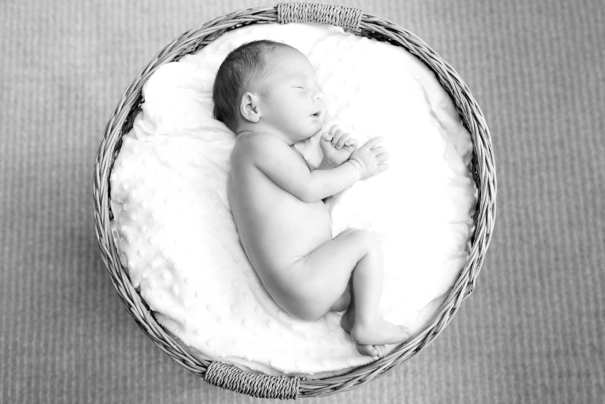 oviedo newborn photos