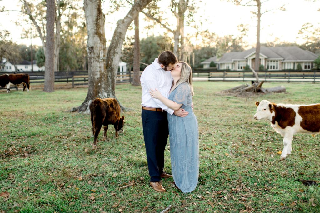 A rural Oviedo engagement session with mini cows!