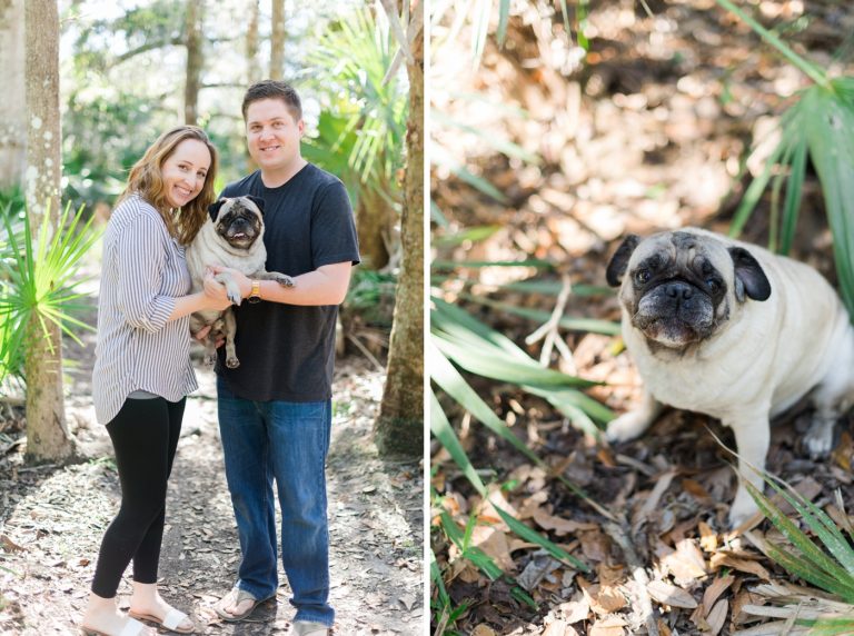 Pet Photography Fundraiser for Orlando Animal Rescue, The Pixel Fund Kristen Weaver Photography