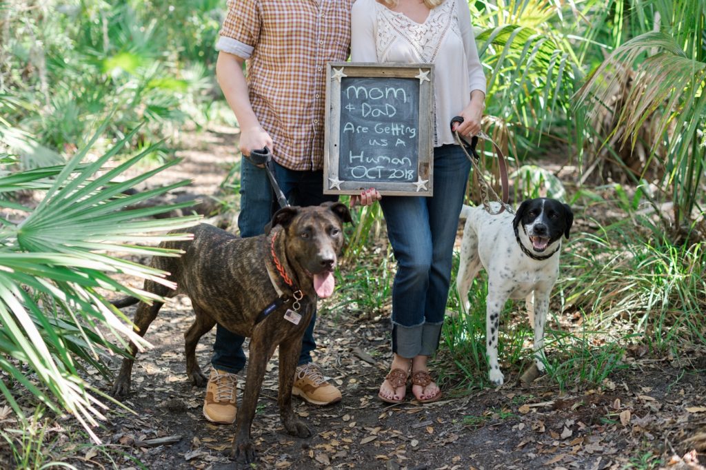 Pet Photography Fundraiser for Orlando Animal Rescue, The Pixel Fund Kristen Weaver Photography