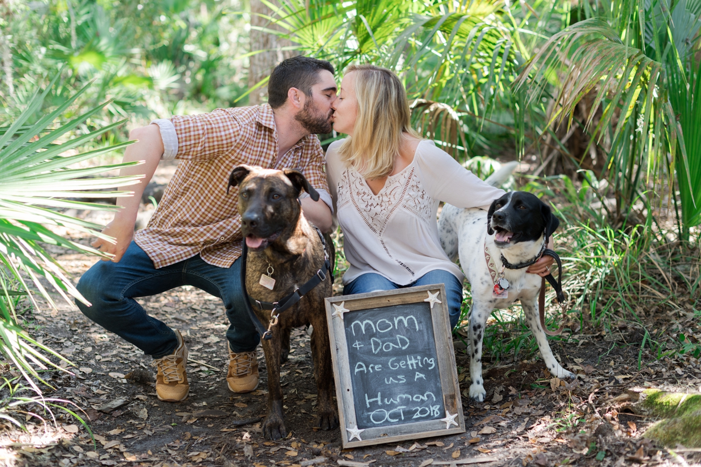 baby announcement with pets