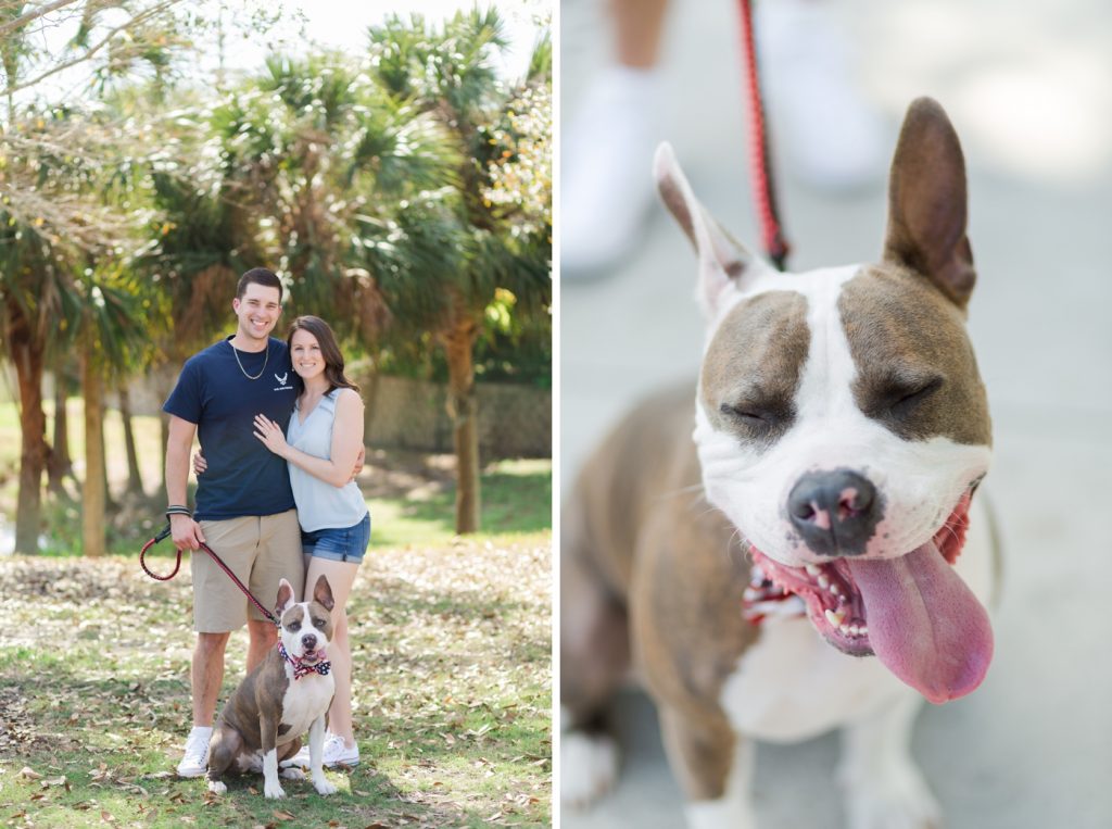 Pet Photography Fundraiser for Orlando Animal Rescue, The Pixel Fund Kristen Weaver Photography