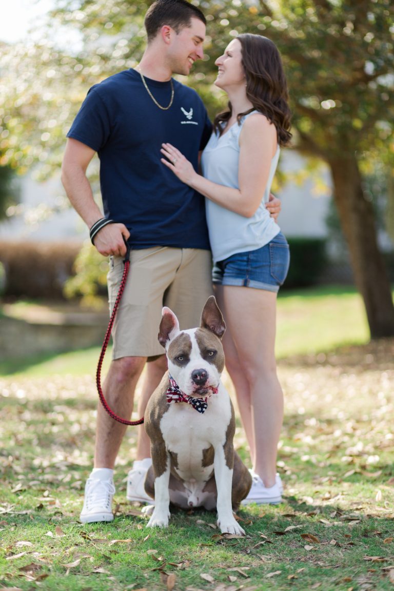 Pet Photography Fundraiser for Orlando Animal Rescue, The Pixel Fund Kristen Weaver Photography