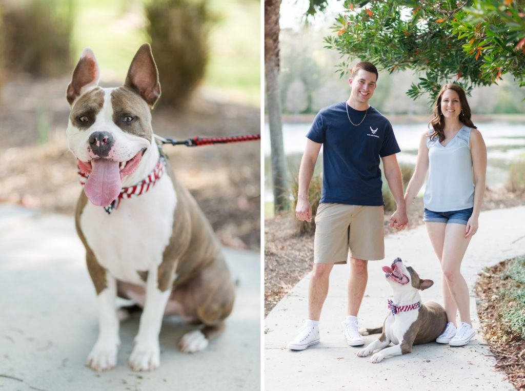 Pet Photography Fundraiser for Orlando Animal Rescue, The Pixel Fund Kristen Weaver Photography