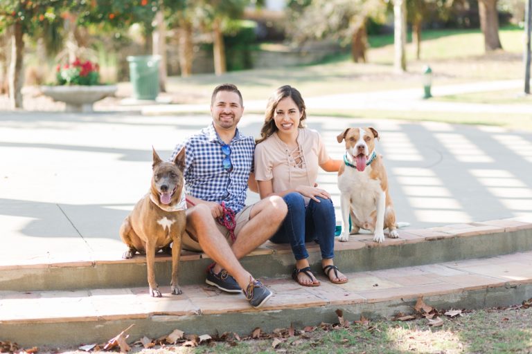 Pet Photography Fundraiser for Orlando Animal Rescue, The Pixel Fund Kristen Weaver Photography