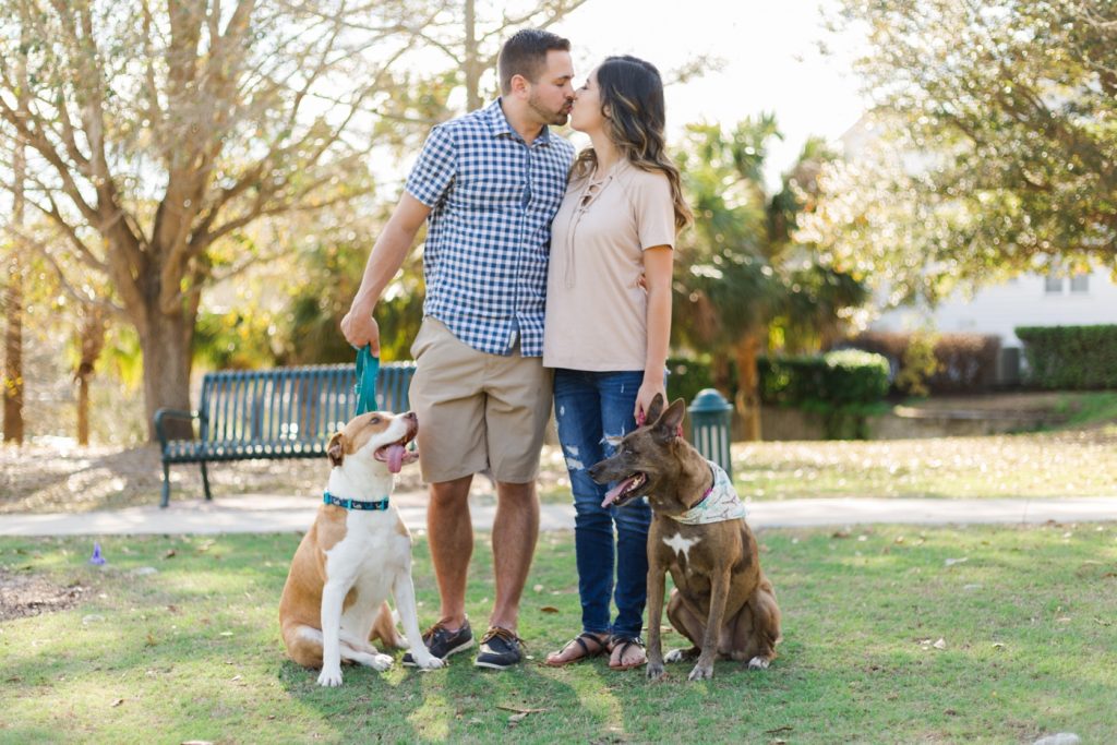 Pet Photography Fundraiser for Orlando Animal Rescue, The Pixel Fund Kristen Weaver Photography