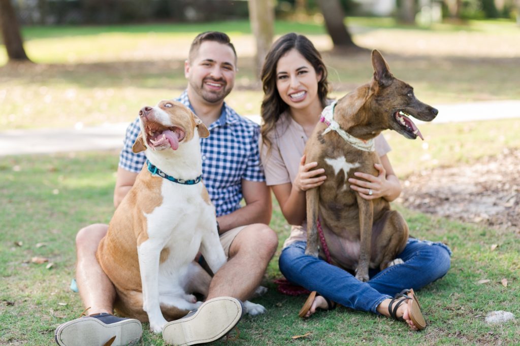 Pet Photography Fundraiser for Orlando Animal Rescue, The Pixel Fund Kristen Weaver Photography