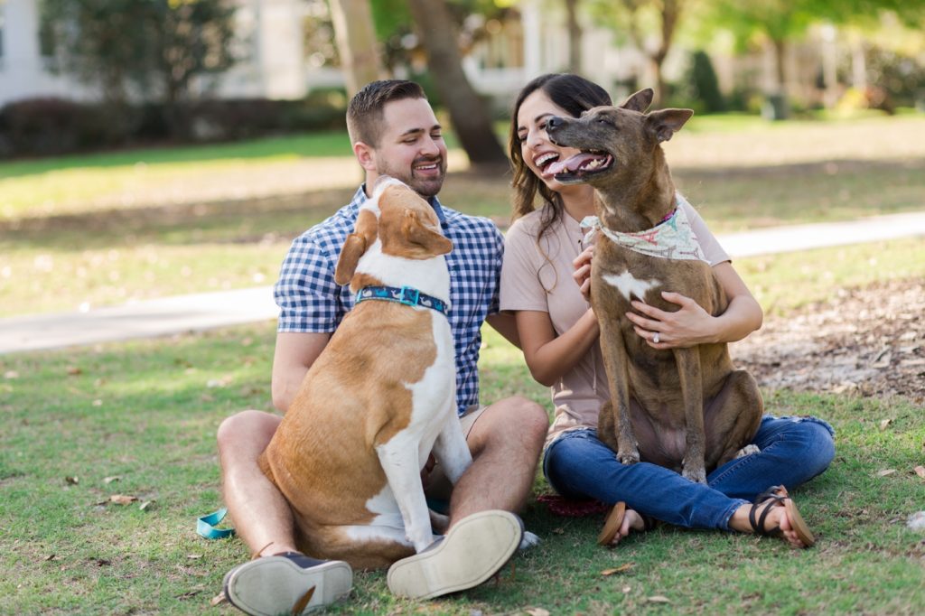 Pet Photography Fundraiser for Orlando Animal Rescue, The Pixel Fund Kristen Weaver Photography