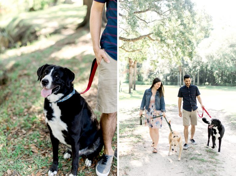 Pet Photography Fundraiser for Orlando Animal Rescue, The Pixel Fund Kristen Weaver Photography