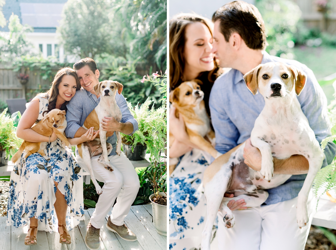 engagement shoot with dogs