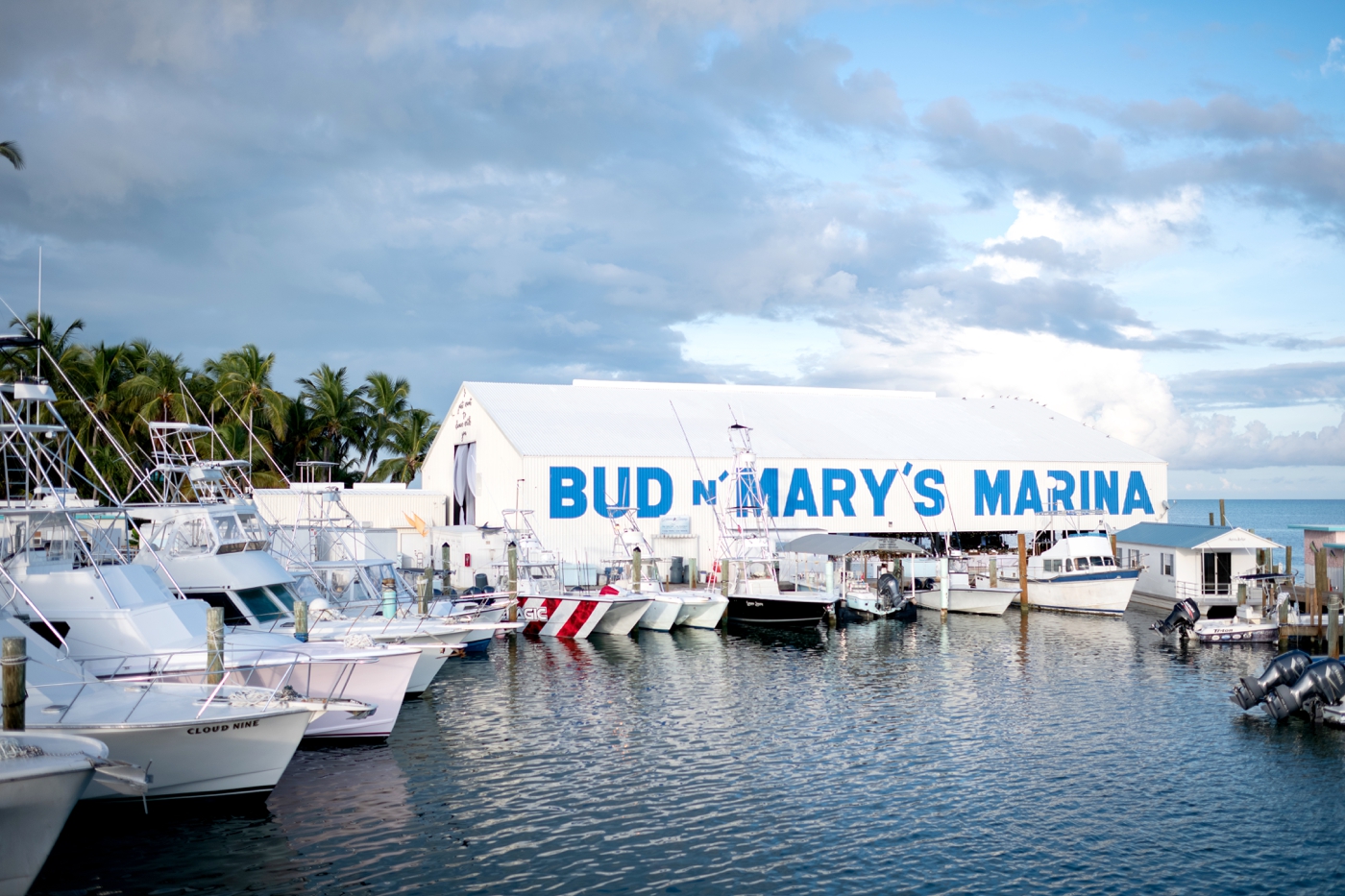 bud n mary's marina wedding