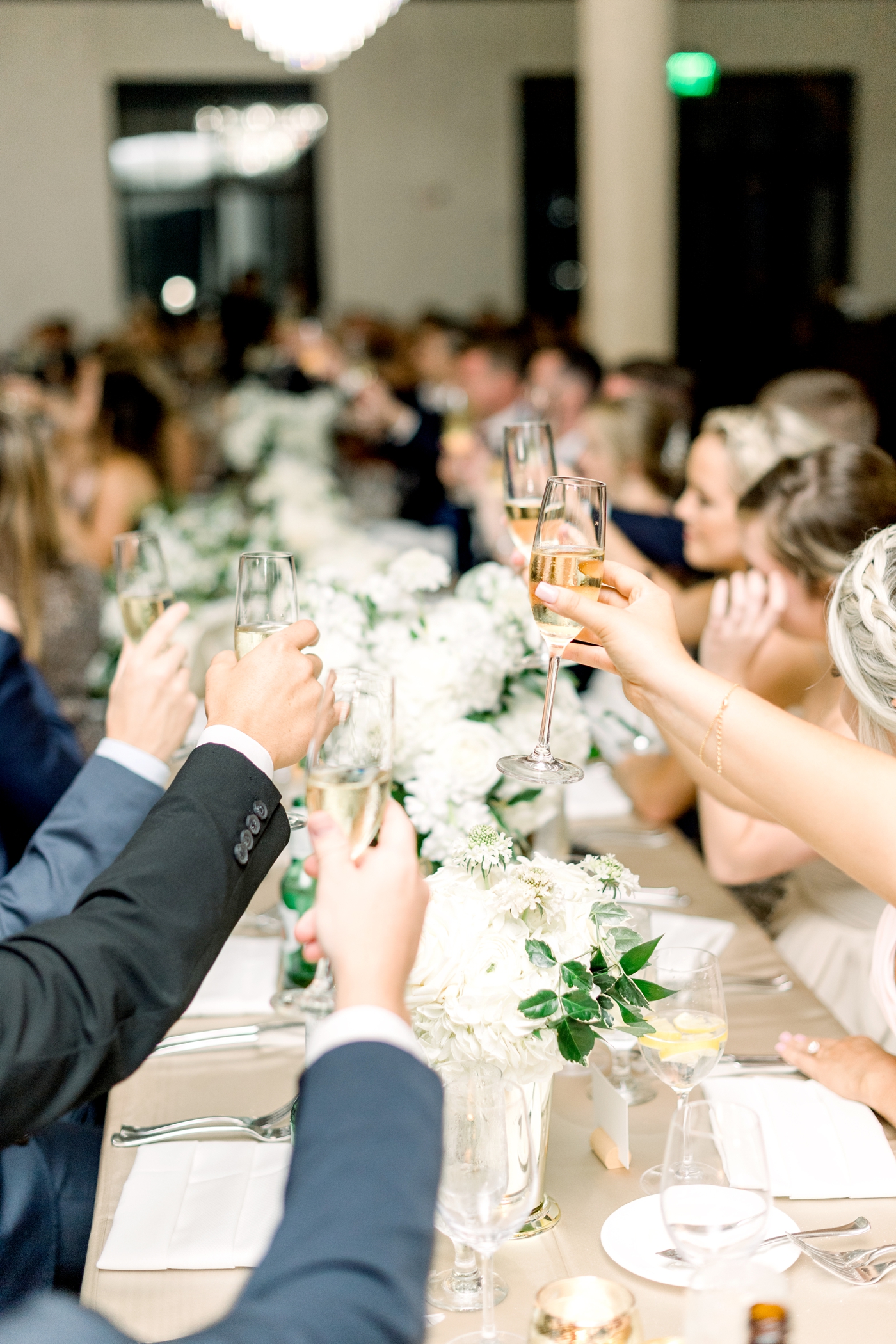 toast at wedding reception
