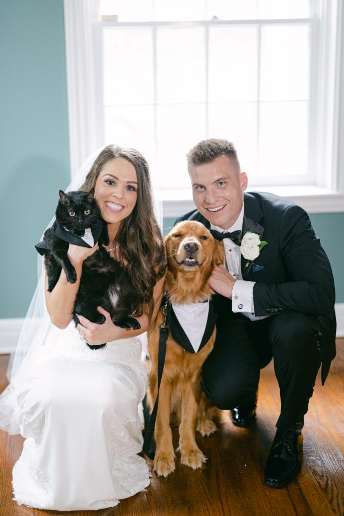 cat and dog wedding photos