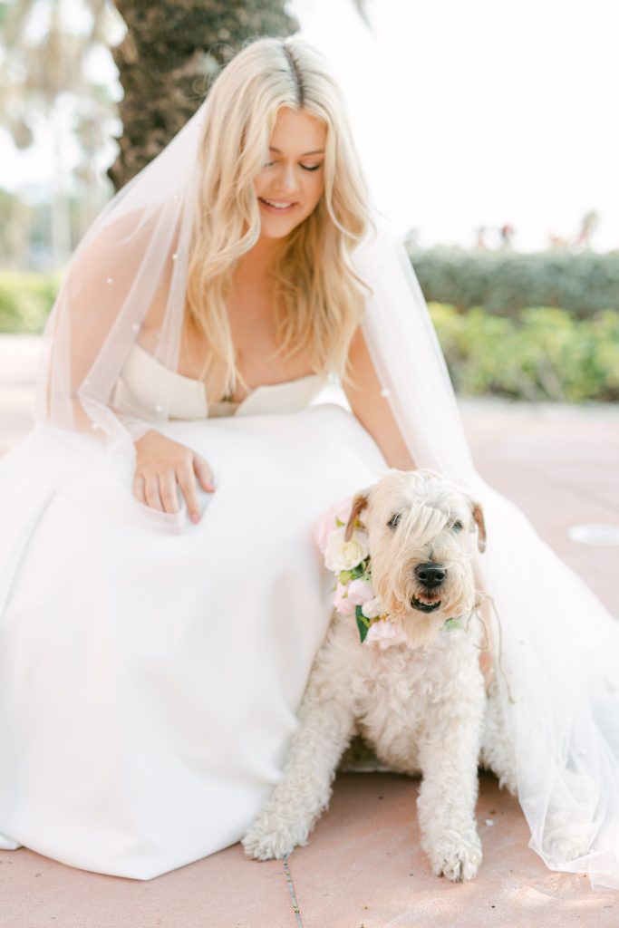 bride with dog photos