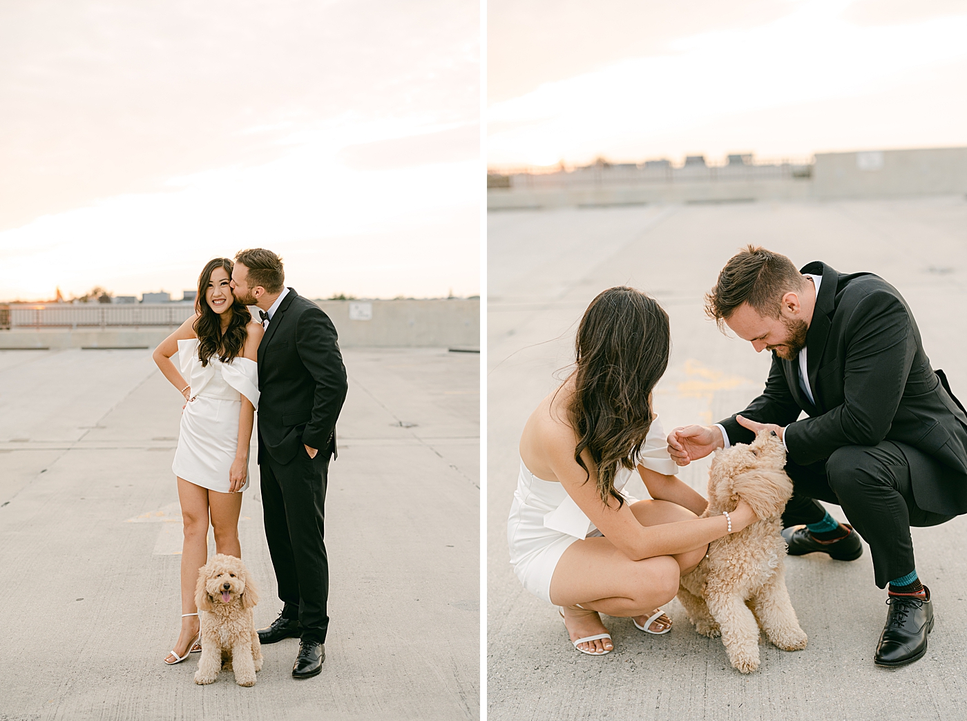 engagement photos with puppy