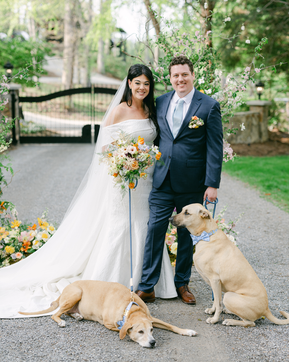 dogs at wedding