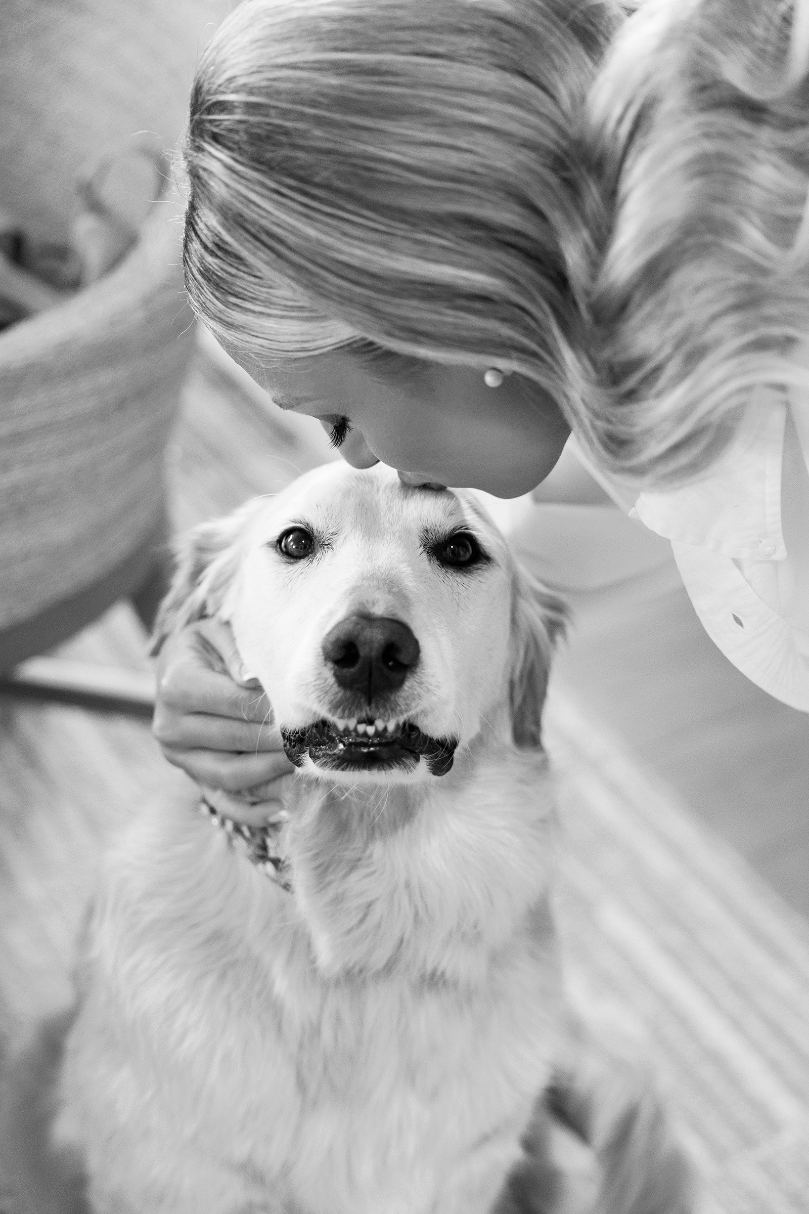 dog wedding day