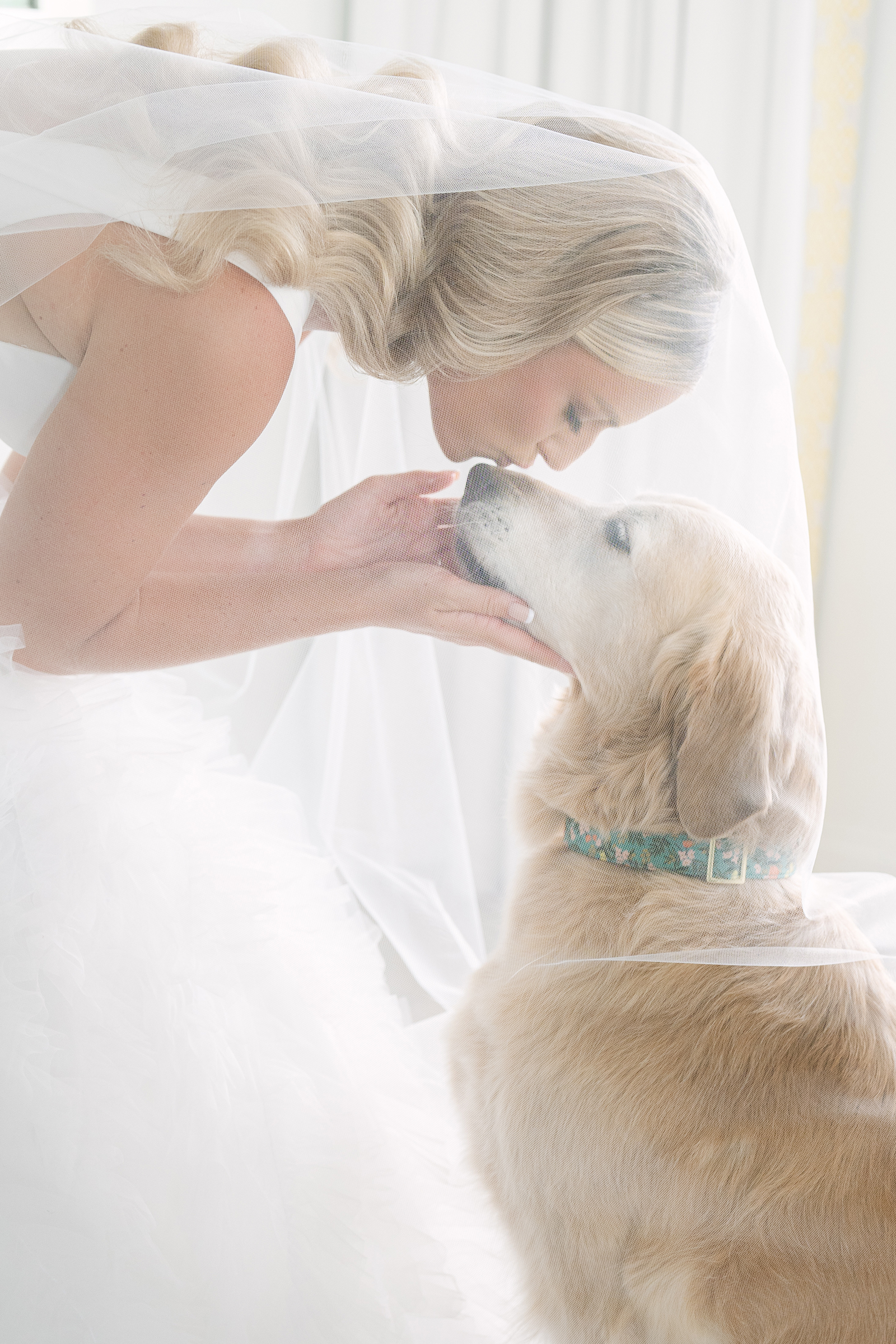 cute photos to take with your dog on your wedding day