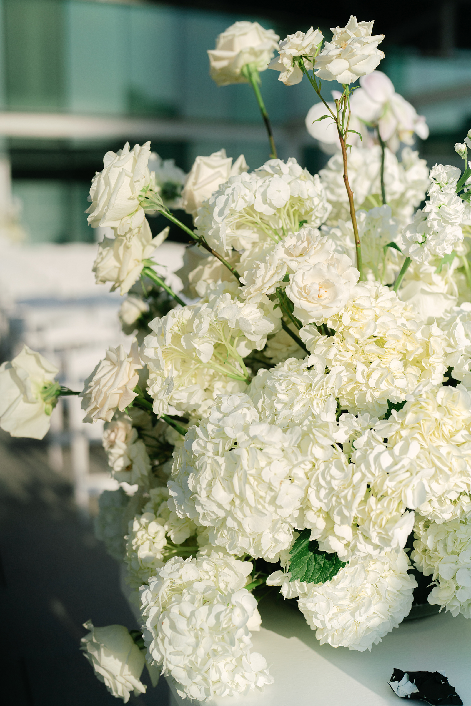 velvet and twine flowers orlando