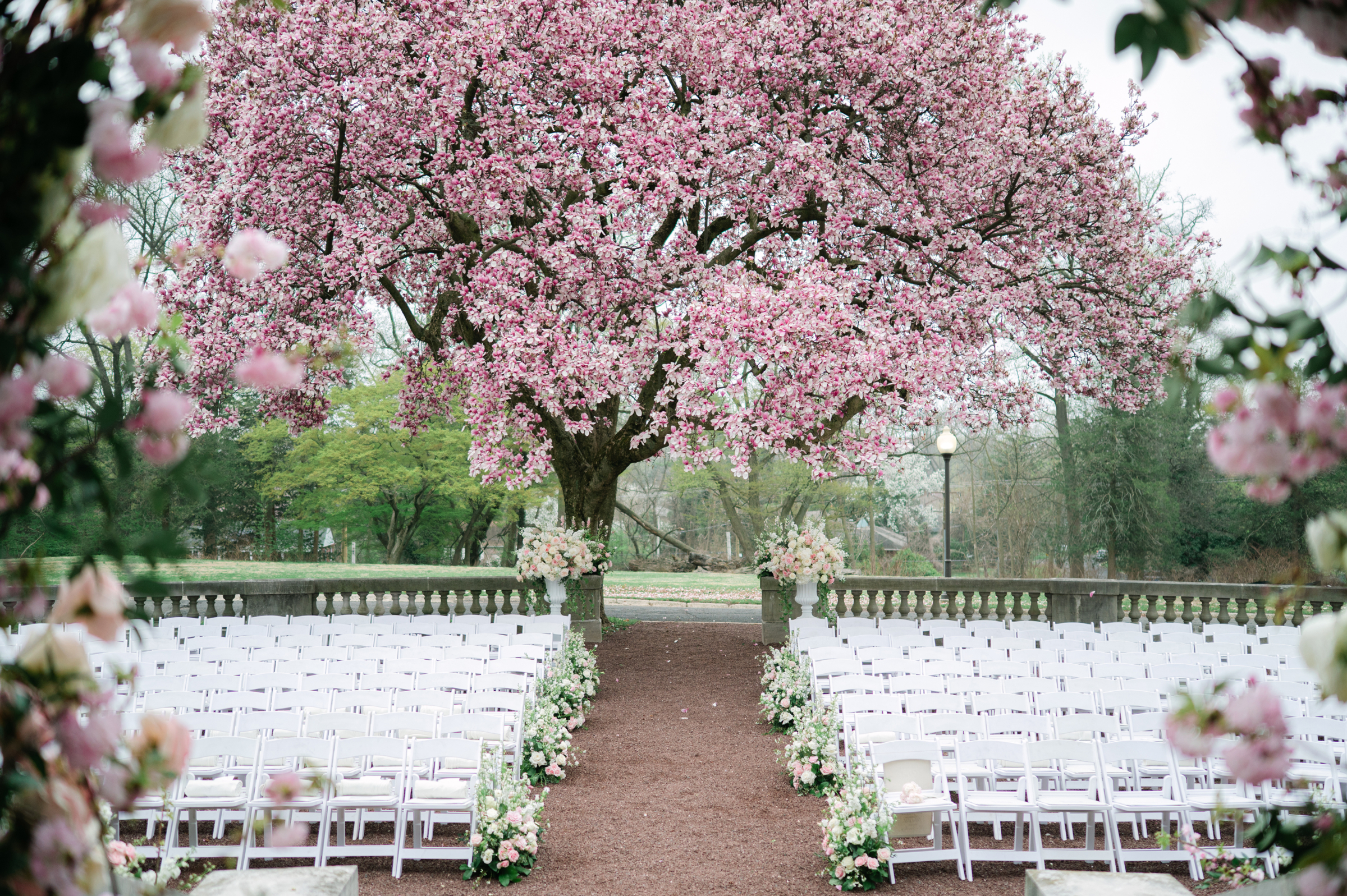 cherry blossom at wedding ceremony