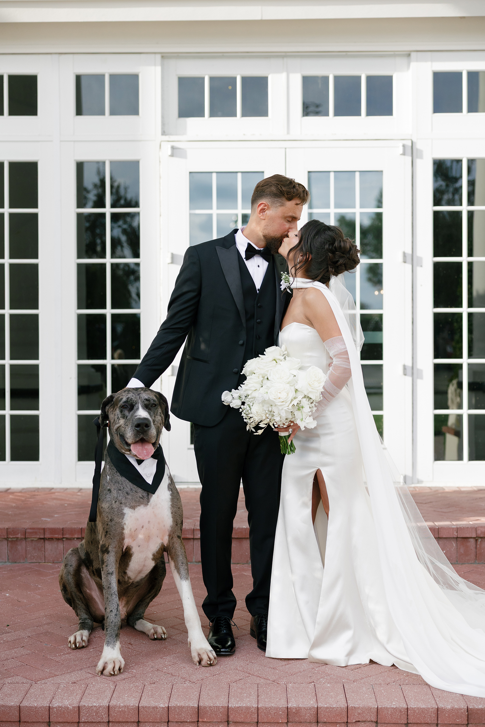 bride and groom with their dog wedding portrait