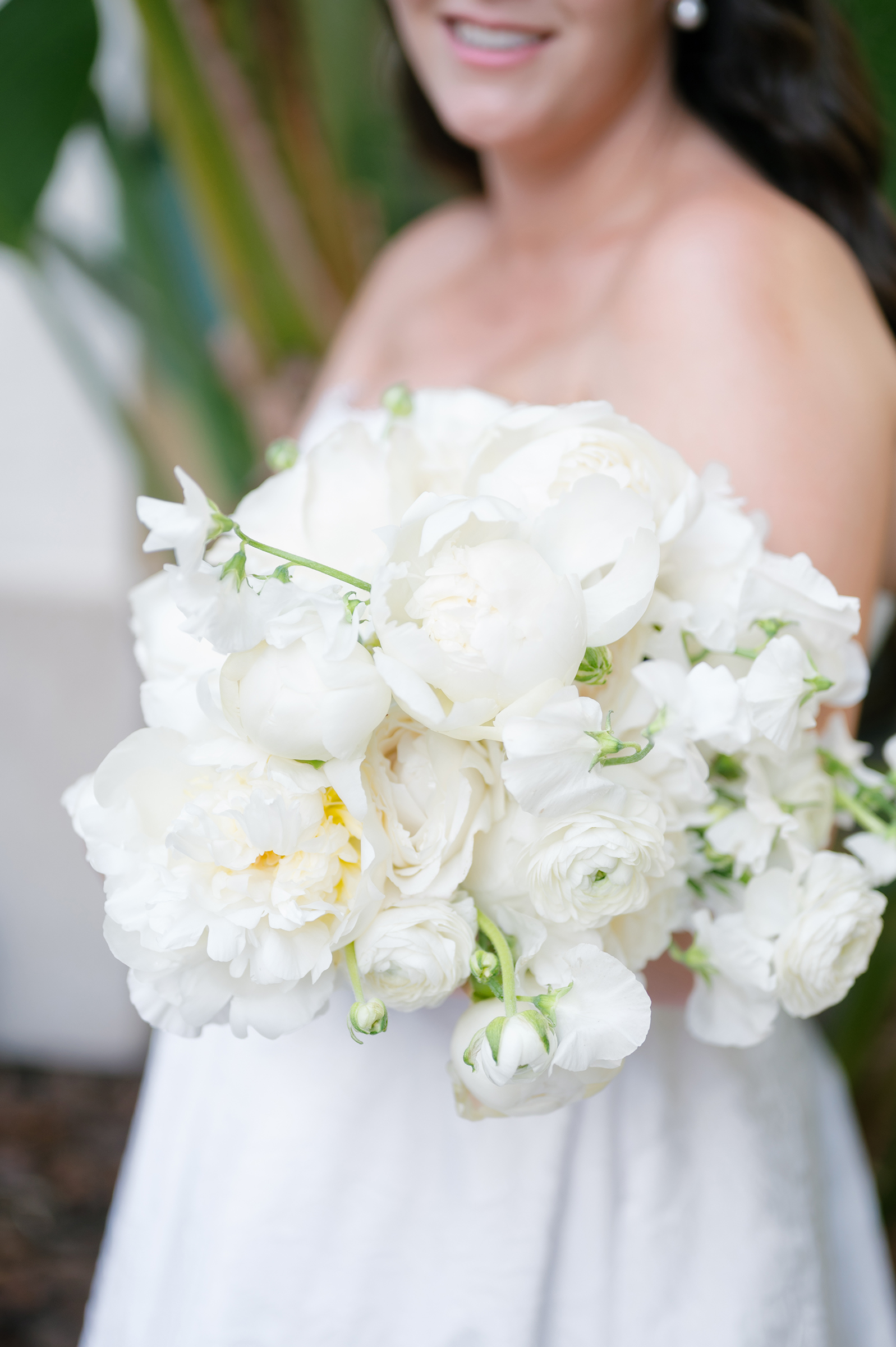 white wedding roses